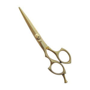 Professional Hair Cutting Scissor