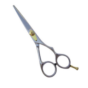 Professional Hair Cutting Scissor