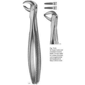 Tooth Extracting Forceps (Eng Pattern)