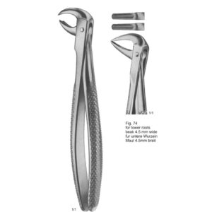 Tooth Extracting Forceps (Eng Pattern)