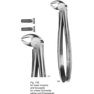 Tooth Extracting Forceps (Eng Pattern)