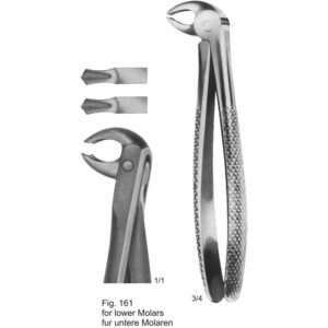 Tooth Extracting Forceps (Eng Pattern)