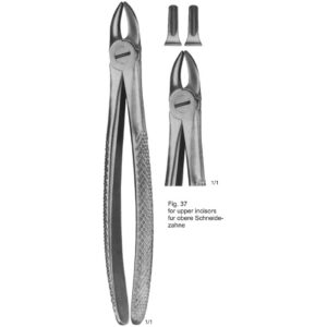 Tooth Extracting Forceps (Eng Pattern)