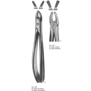 Tooth Extracting Forceps (Eng Pattern)