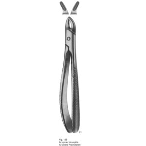 Tooth Extracting Forceps (Eng Pattern)