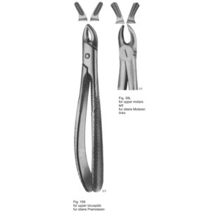 Tooth Extracting Forceps (Eng Pattern)