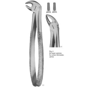Tooth Extracting Forceps (Eng Pattern)