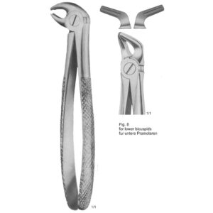 Tooth Extracting Forceps (Eng Pattern)