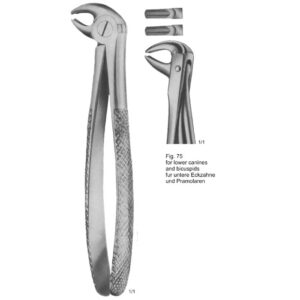 Tooth Extracting Forceps (Eng Pattern)