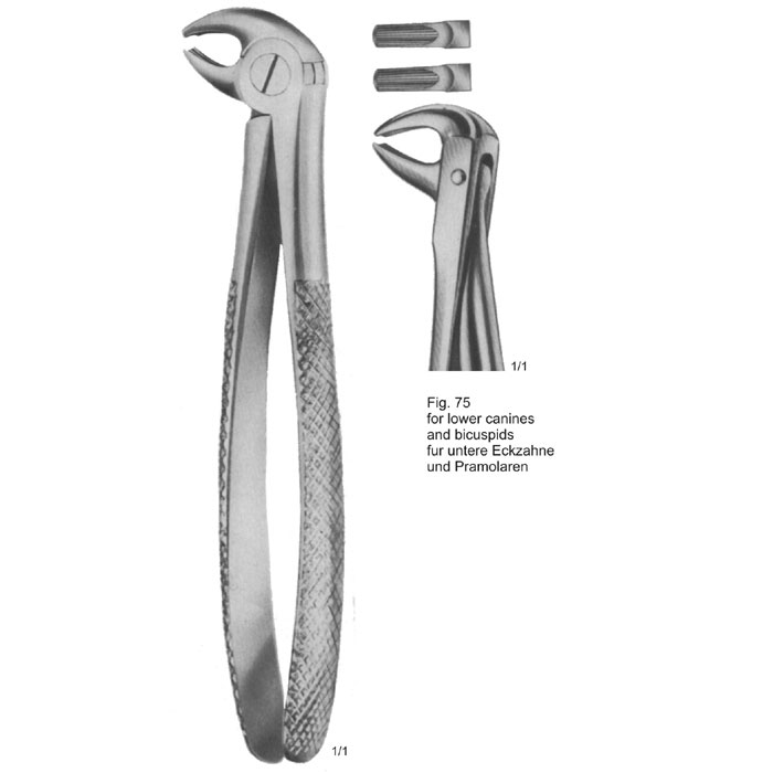 TF-961-95_7_2.jpg