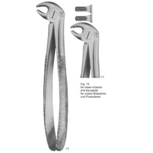 Tooth Extracting Forceps (Eng Pattern)