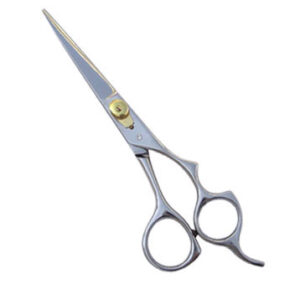 Professional Hair Cutting Scissor